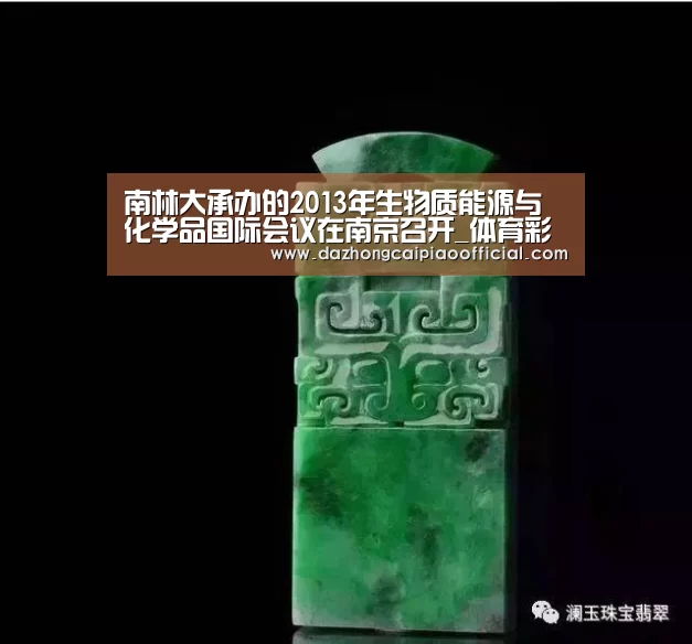 南林大承办的2013年生物质能源与化学品国际会议在南京召开_体育彩票(图4) 体育彩票