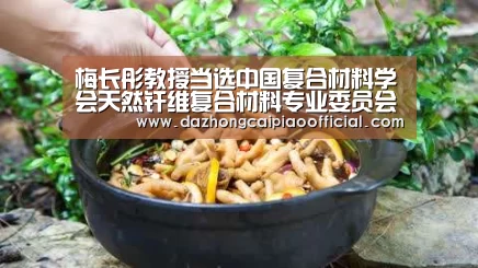 梅长彤教授当选中国复合材料学会天然纤维复合材料专业委员会副主任委员【在线购彩】(图3) 体育彩票