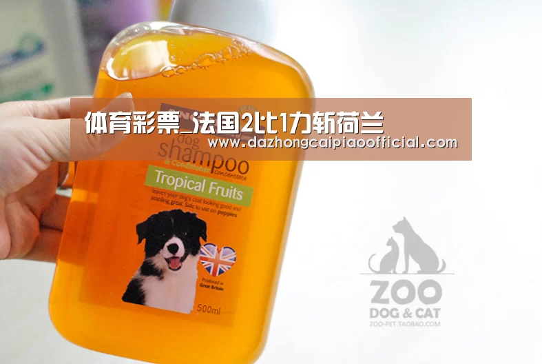 在线购彩
