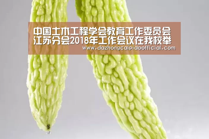 中国土木工程学会教育工作委员会江苏分会2018年工作会议在我校举行-体育彩票(图1) 体育彩票