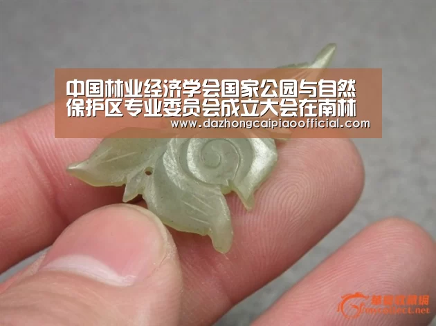 中国林业经济学会国家公园与自然保护区专业委员会成立大会在南林举行:彩票投注(图1) 彩票投注