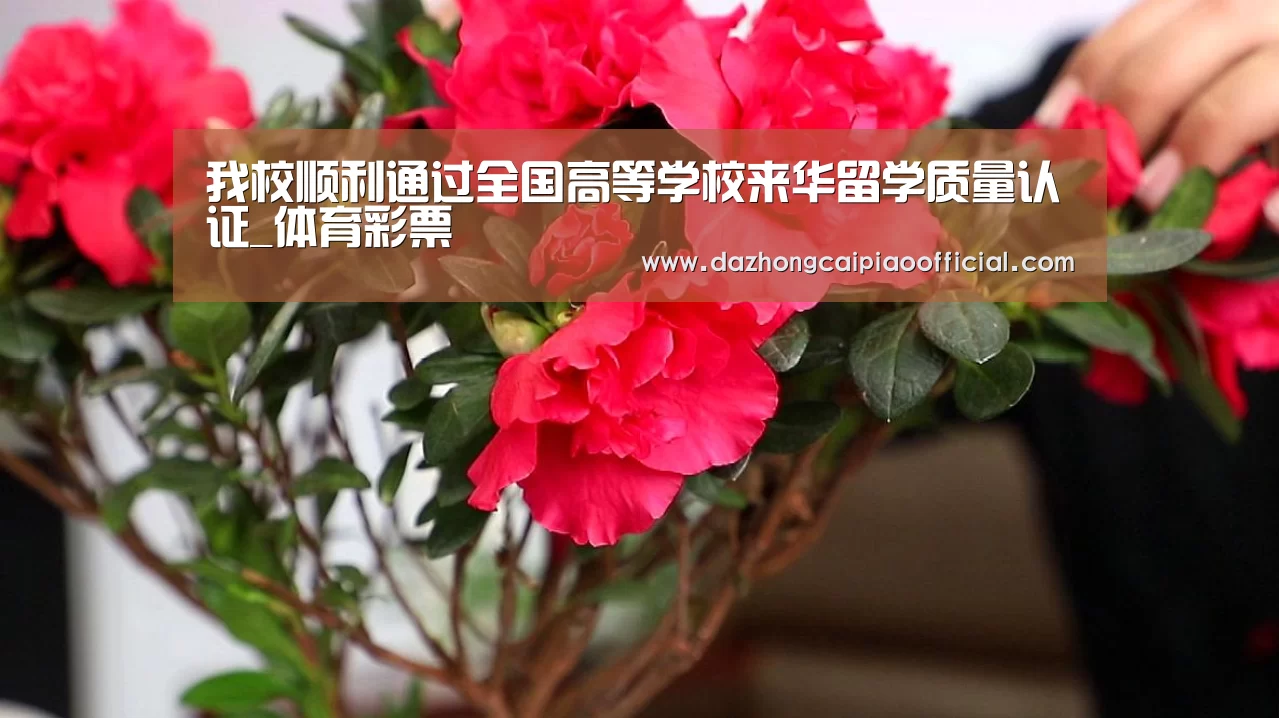 我校顺利通过全国高等学校来华留学质量认证_体育彩票(图1) 体育彩票
